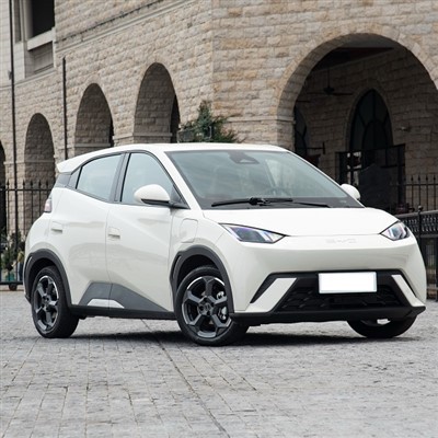 BYD električni avtomobil najcenejša cena